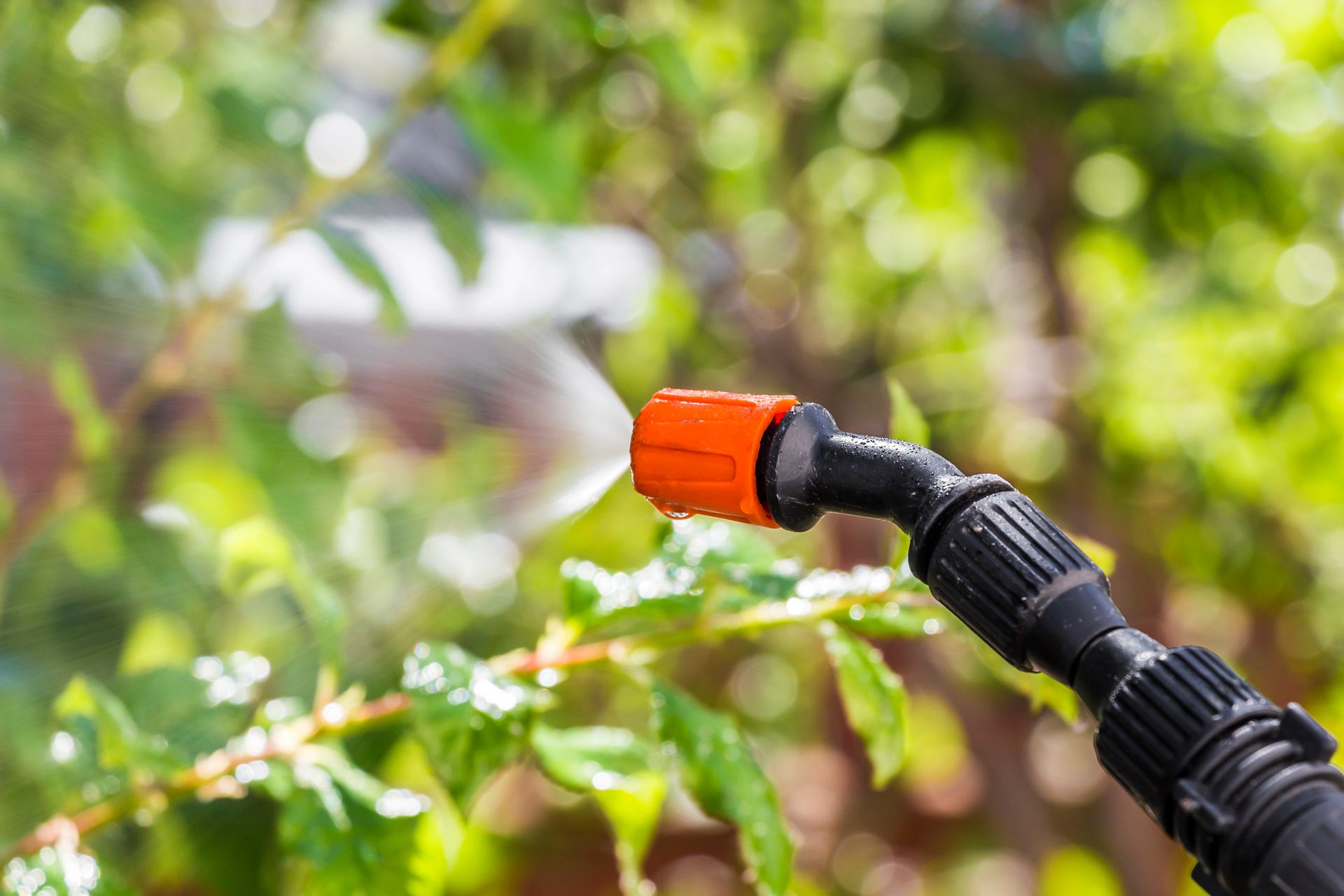 Orange sprinkler nozzle spraying water onto green garden plants outdoors