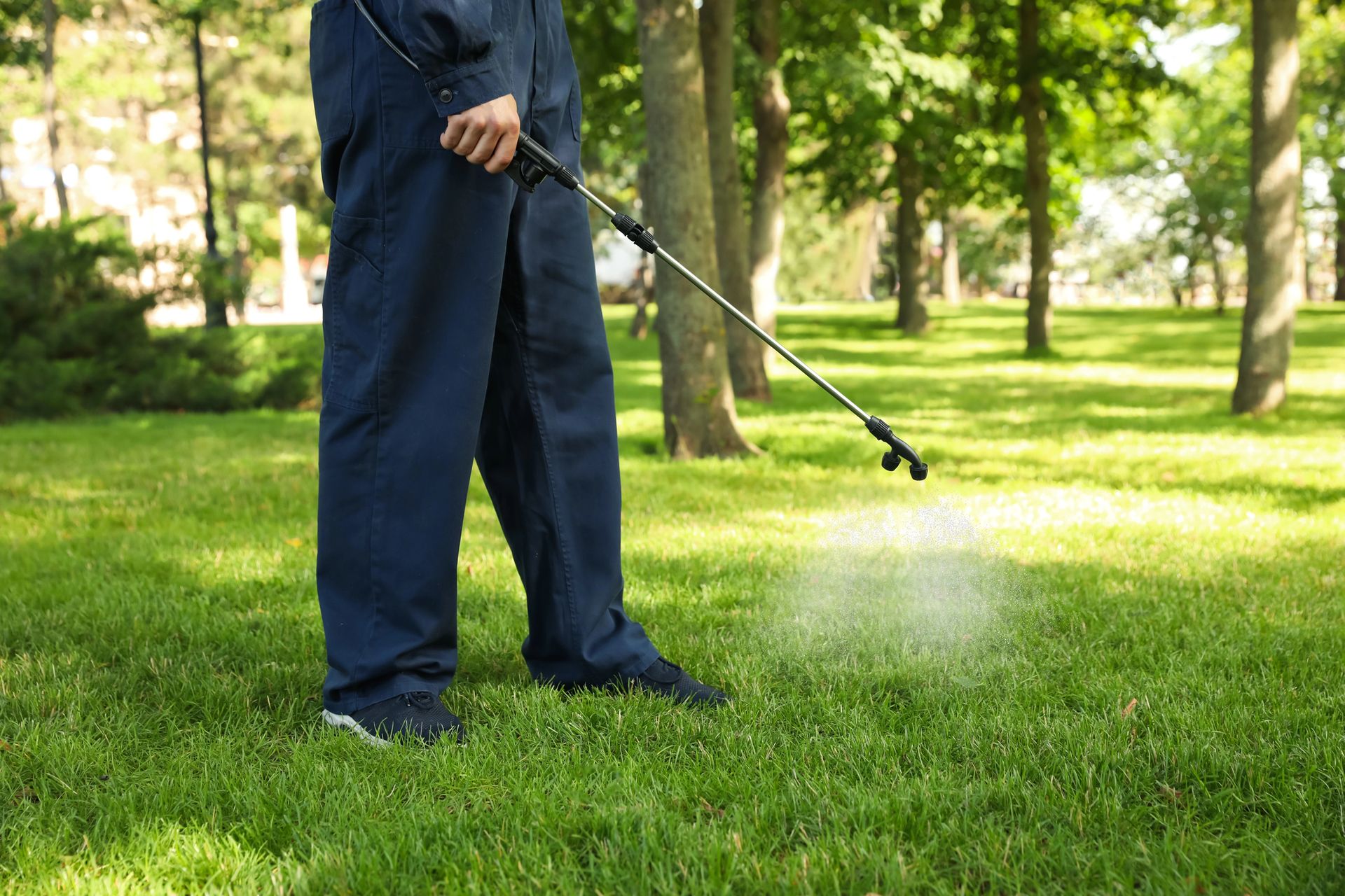 Person using a metal detector on a grassy lawn in a park