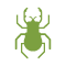 Boring Insect Protection