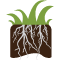 Turf Disease Control
