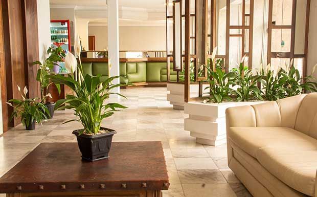 Hall de entrada com plantas, assentos e recepção. Piso em ladrilho de pedra clara e detalhes em madeira.