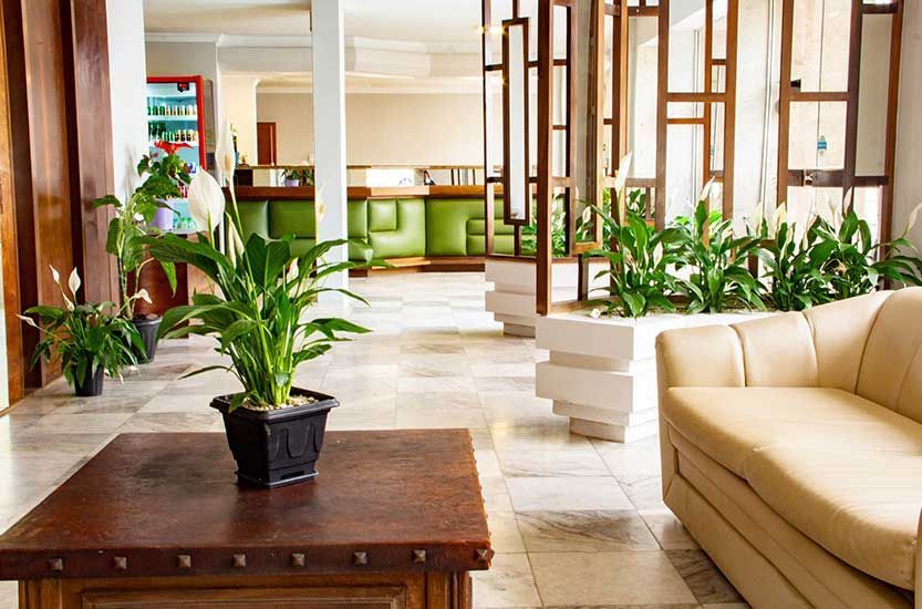 Hall de entrada com plantas, sofá bege, piso de mármore quadrado e divisória de madeira. Ao fundo, é possível ver a recepção.