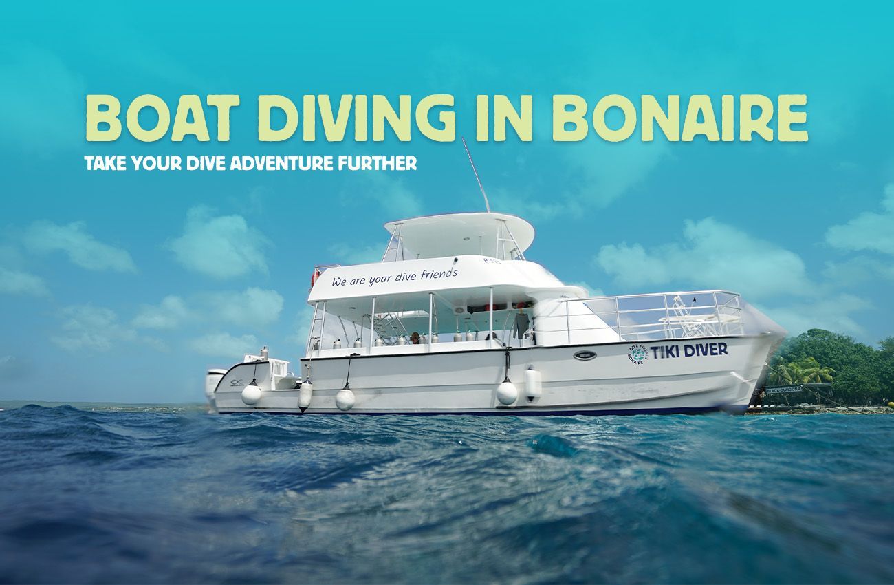 Boat diving charter on the ocean in Bonaire with turquoise sky and water, “BOAT DIVING IN BONAIRE” text