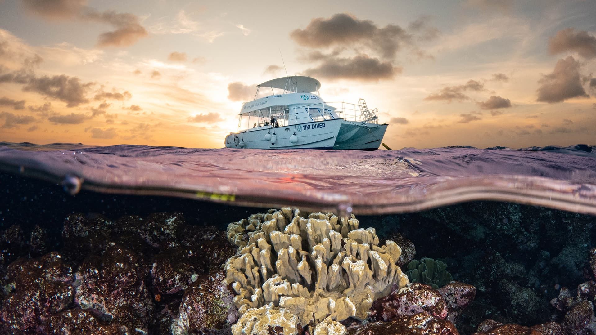 Dive Friends Boat on calm ocean at sunset, with coral reef visible beneath the water’s surface.
