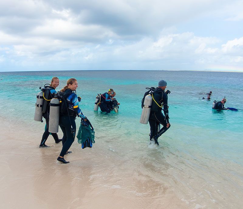 Dive Friends Scuba divers in wetsuits wade into clear turquoise water from a sandy beach under a cloudy sky