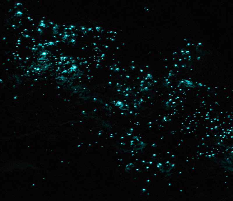 Scattered turquoise glowing specks on a black background resembling stars or particles