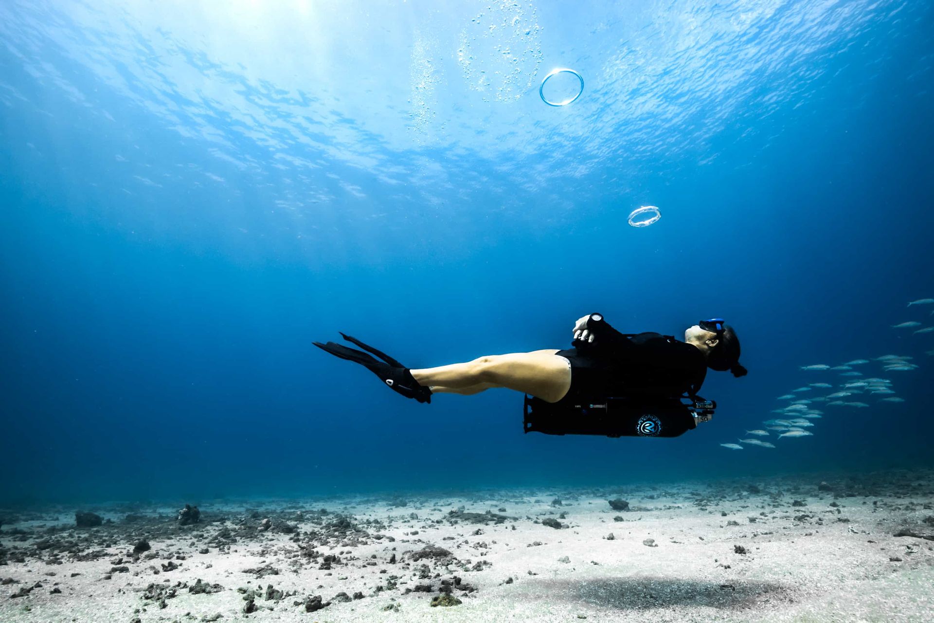 Dive Friends Scuba diver glides above a sandy seabed in clear blue water