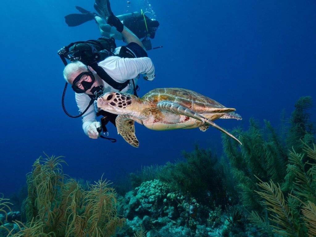 Dive Friends Scuba diver swimming beside a sea turtle over a coral reef in clear blue water