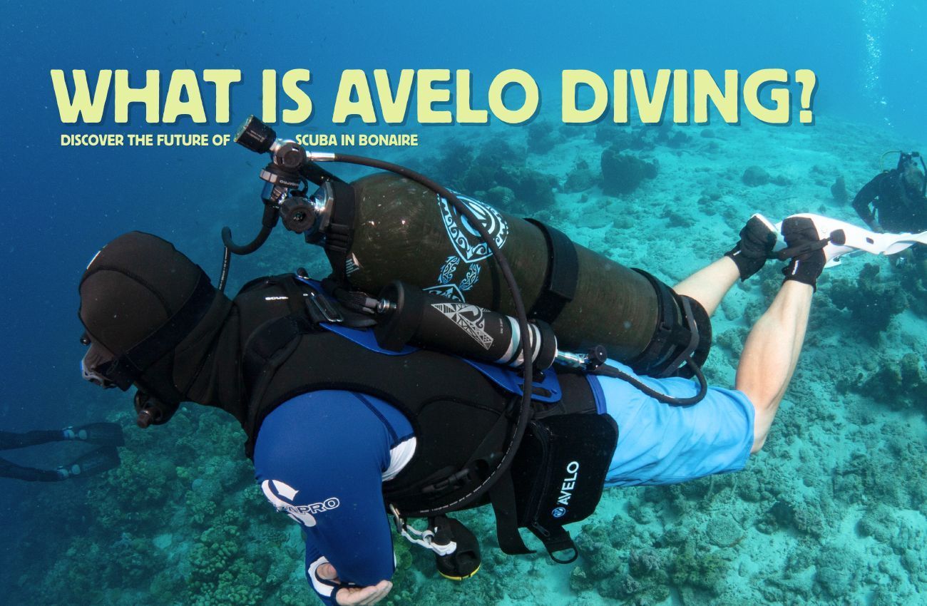 Two scuba divers swimming underwater with text “What is Avelo Diving?”