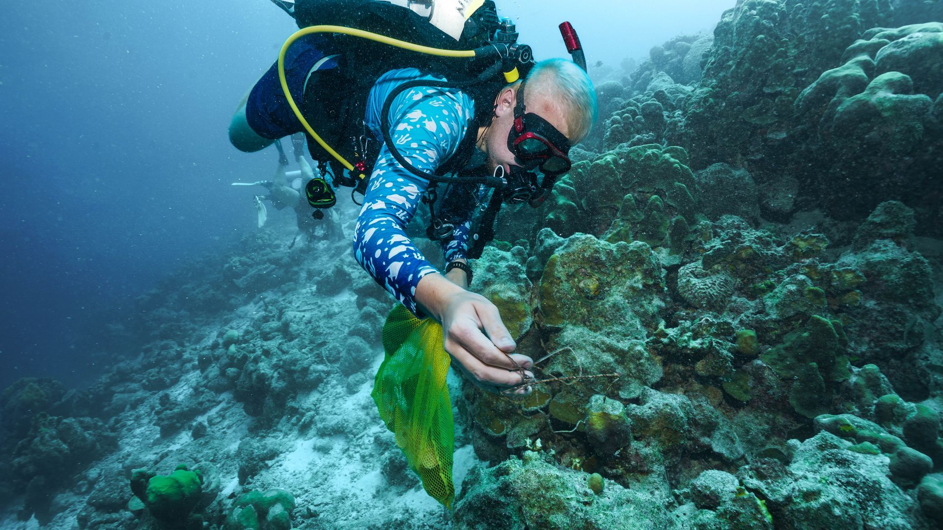 Dive Friends Scuba diver in blue gear reaches toward a green sea creature over a coral reef underwater