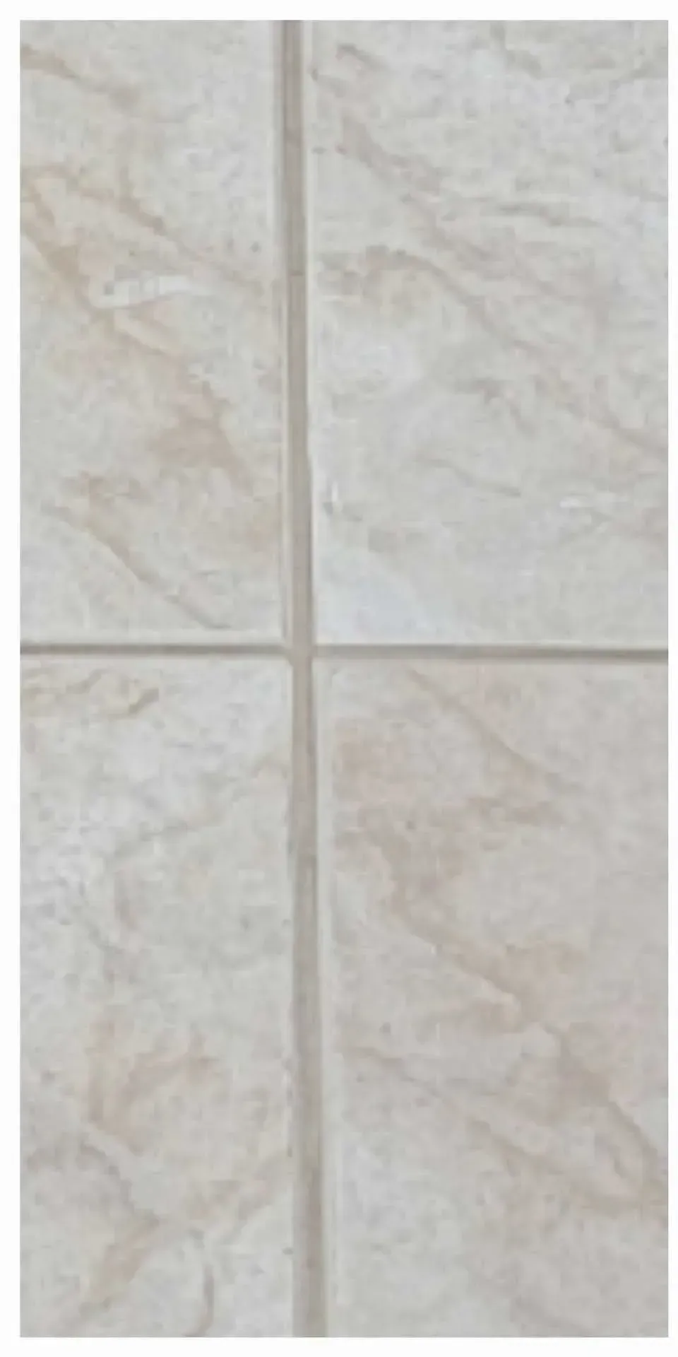 Before Cleaning Service | Jamestown, TN | Schraders Carpet and Tile Care LLC