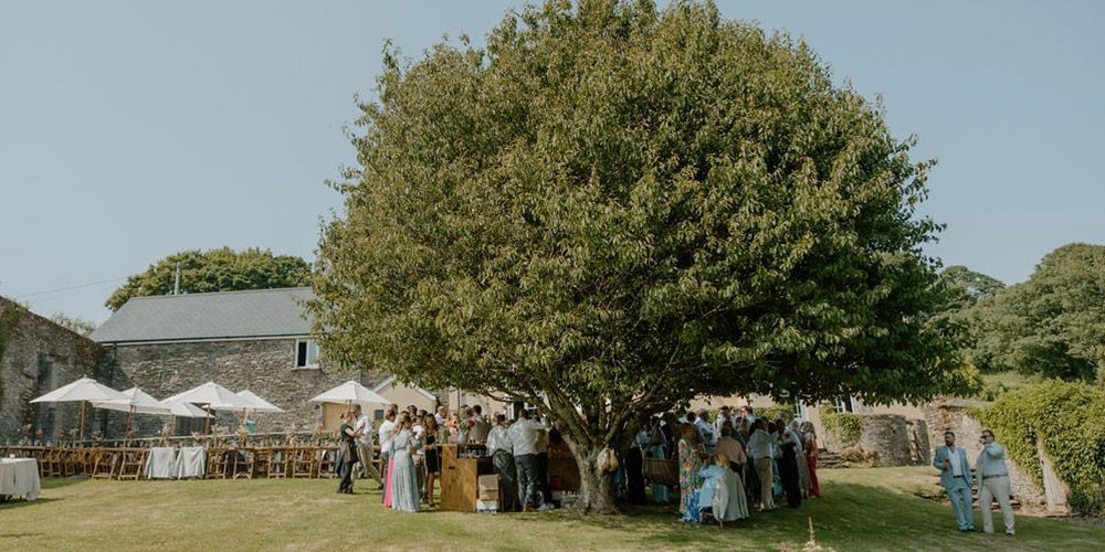 Wedding guests gather under a large tree in a grassy area, with tables and umbrellas set up nearby.