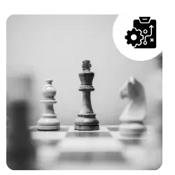Strategic Action Plan
