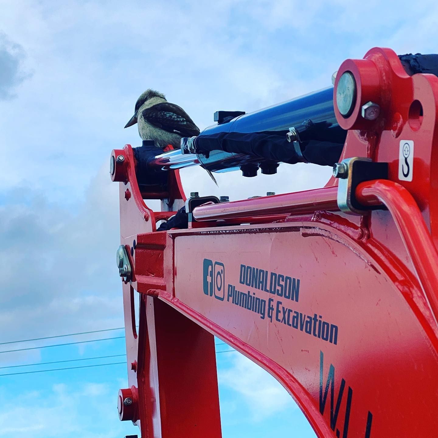 Bird Perched on Top of a Red Excavator  — Donaldson Plumbing & Excavations in Kergunyah, VIC