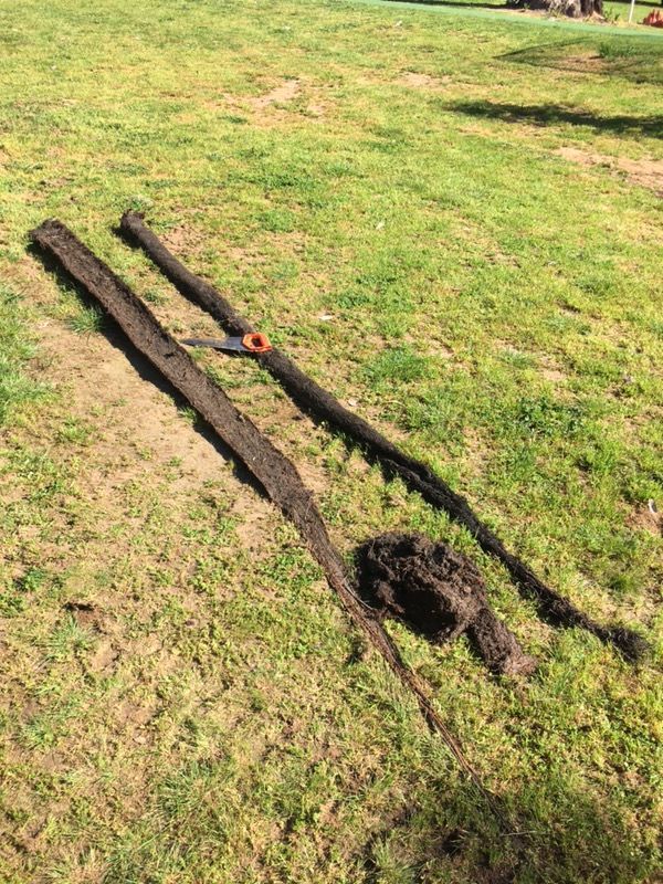 Two Long Strips of Dark Soil on Grass — Donaldson Plumbing & Excavations in Baranduda, VIC