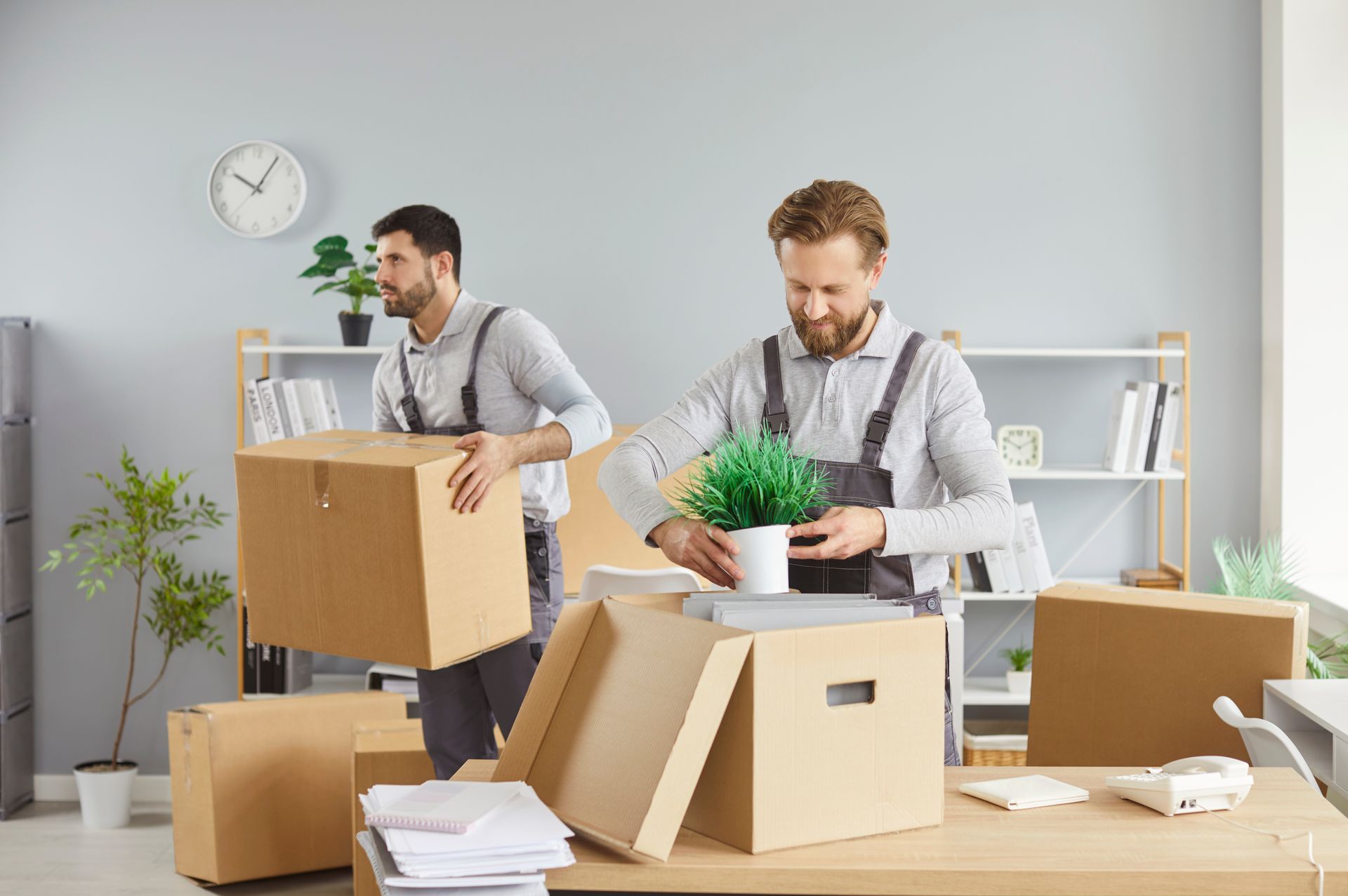 Two commercial movers in uniform packing office boxes, one holding a potted plant near a desk