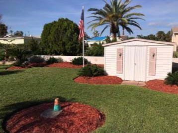 A white shed is sitting in the middle of a lush green yard next to a palm tree.