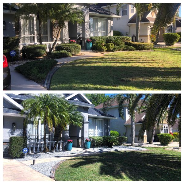 before and after landscaping