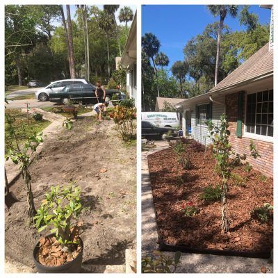 before and after landscaping