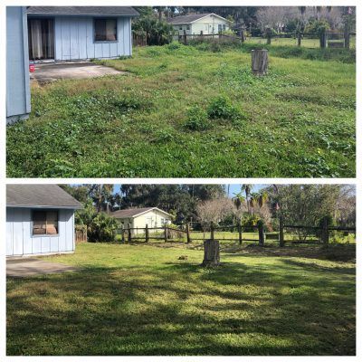 A before and after picture of a lawn with a house in the background.