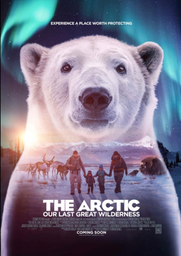 arctic movie poster for sphere