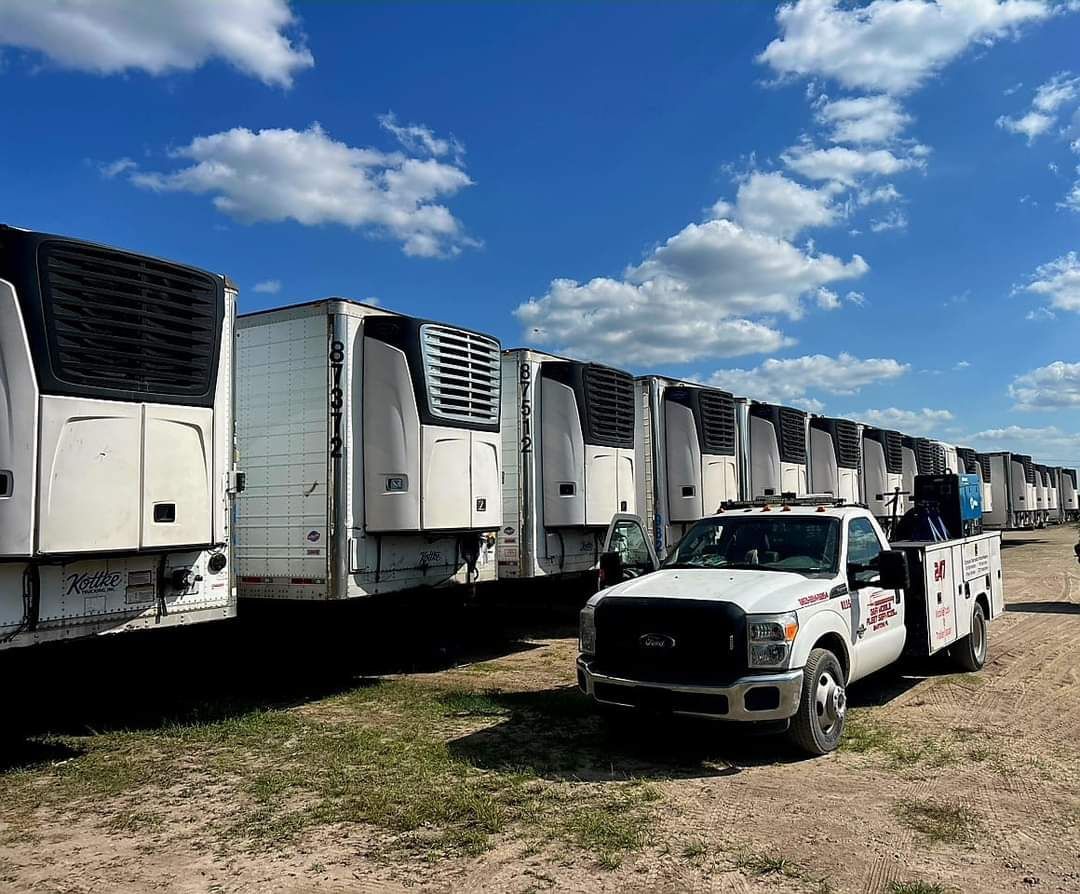 Row of white refrigerated trucks in a field under a blue sky, with a white pickup in front.