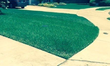 Lawn — Gainesville, FL — Gainesville Pest Control