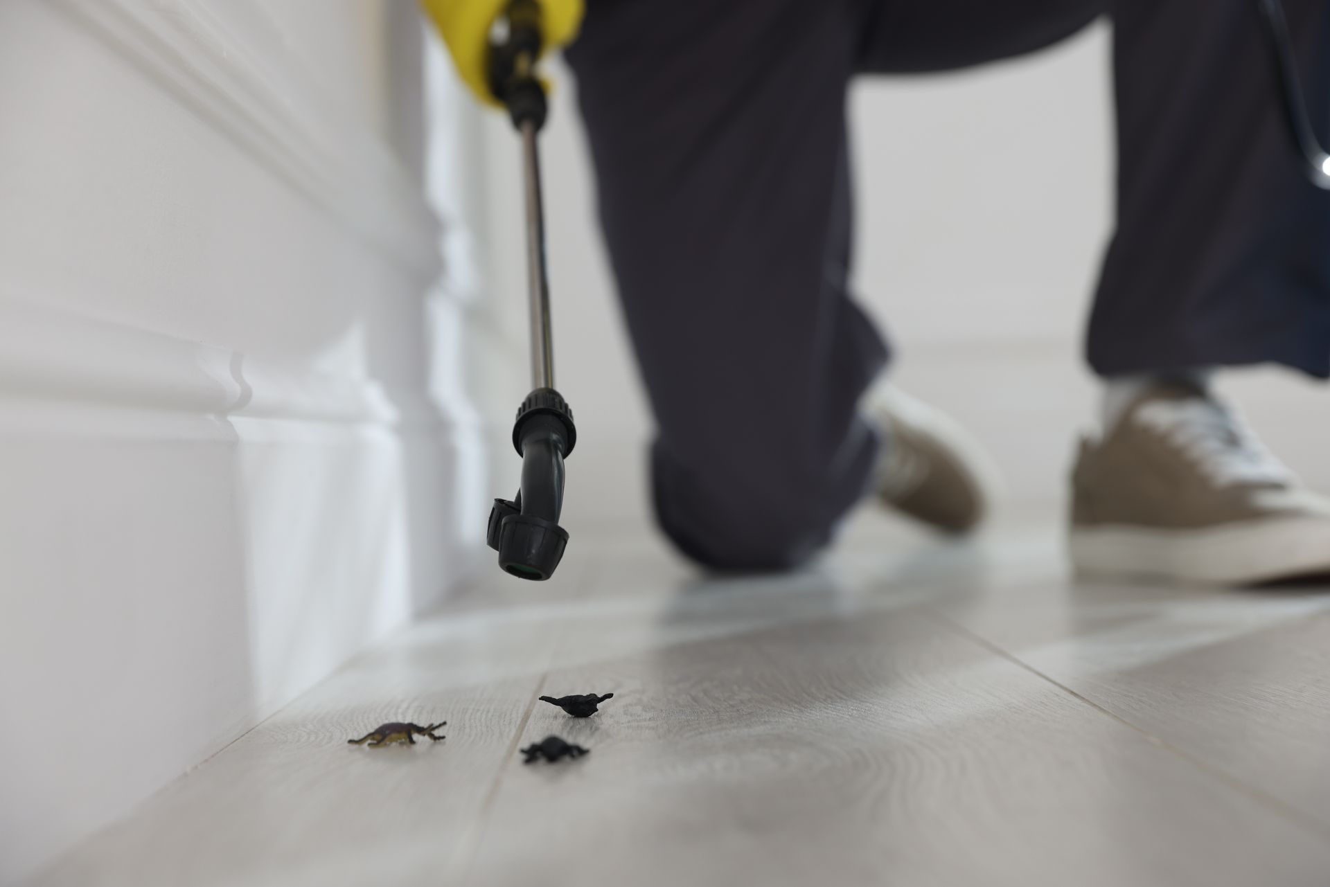 Professional spider control service technician spraying baseboards to eliminate household pests. Professional spider control service technician spraying baseboards to eliminate household pests.