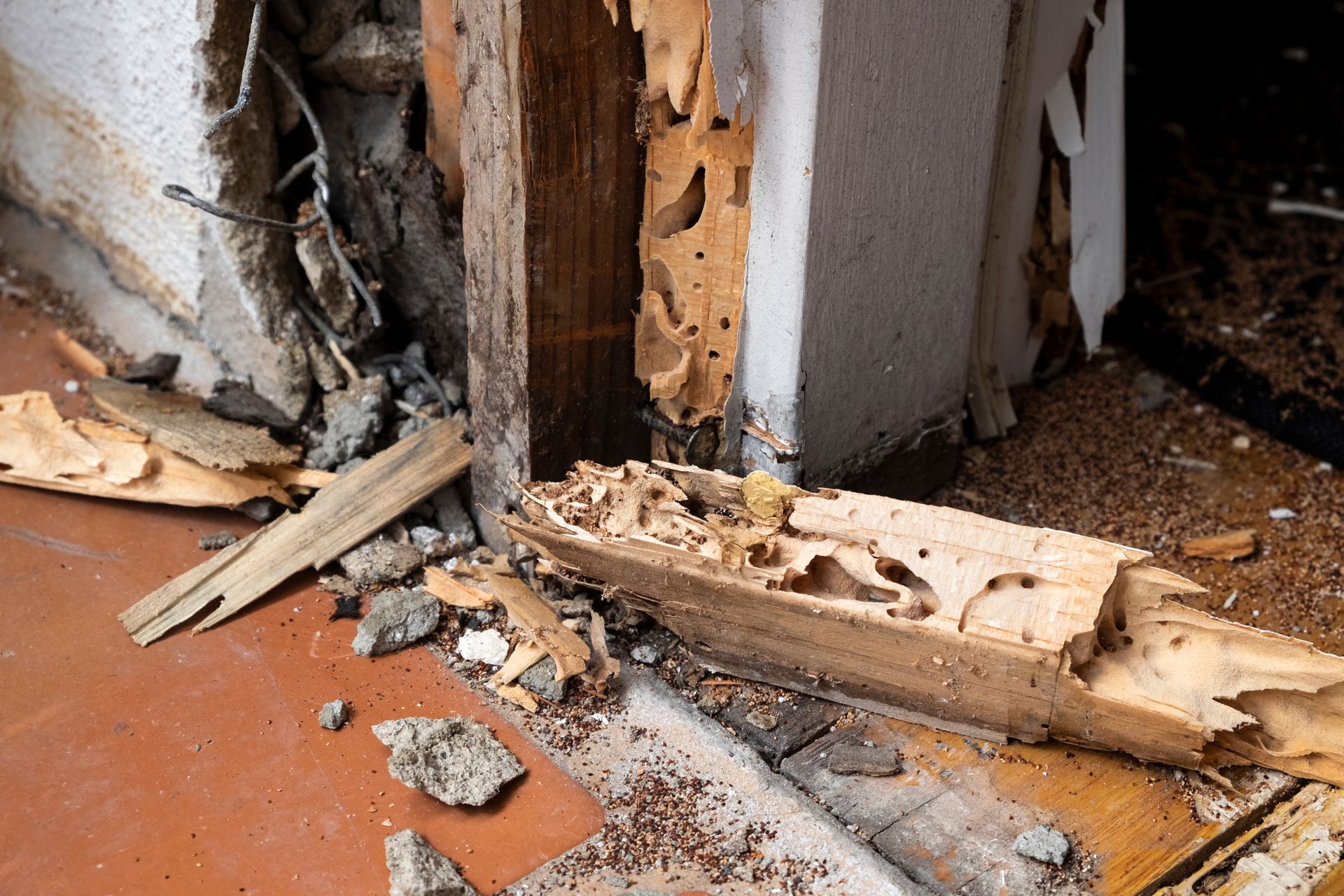 Hollowed wood and debris from active termite infestation. Hollowed wood and debris from active termite infestation.
