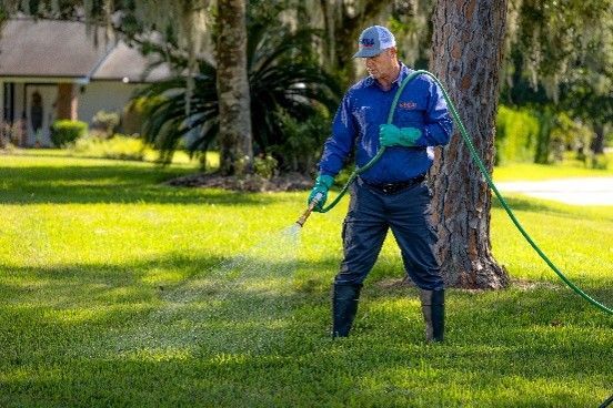 Worker in blue uniform spraying grass with a hose in a sunny park
