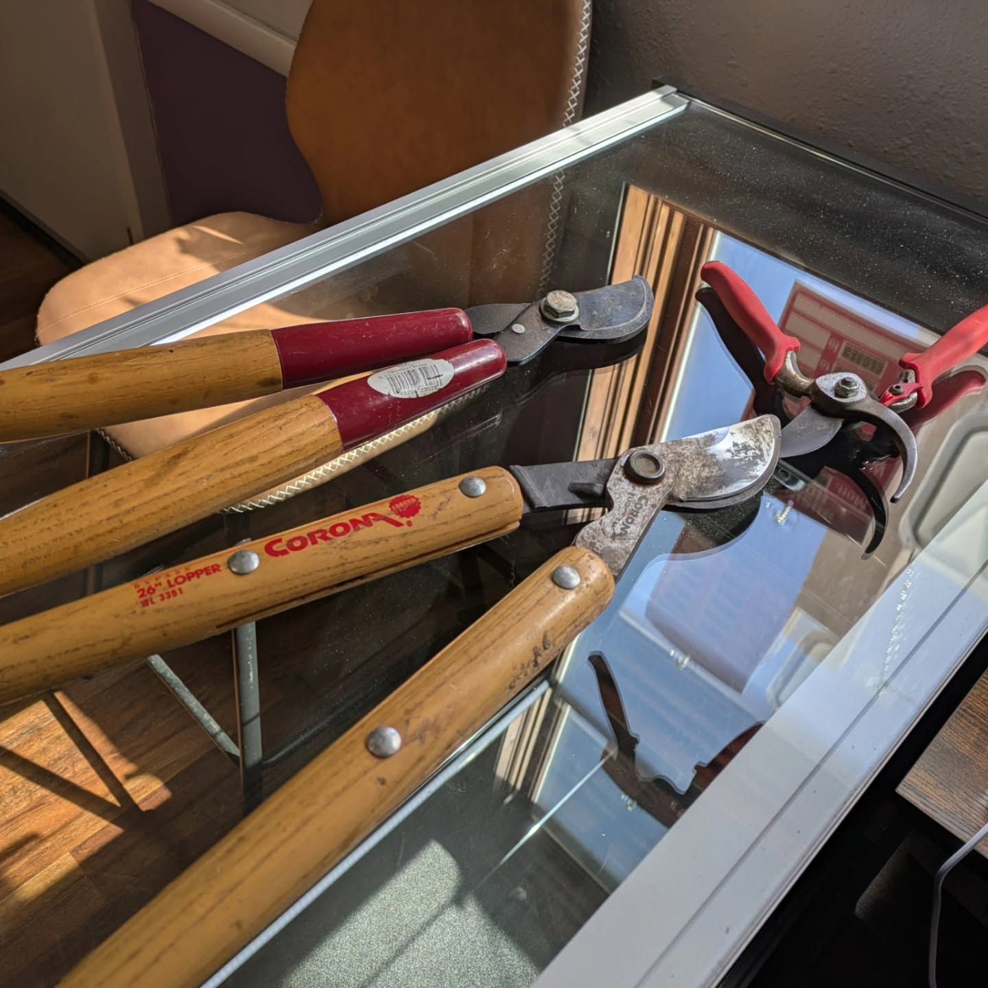 Three pruning shears with wooden handles resting on a glass table in sunlight