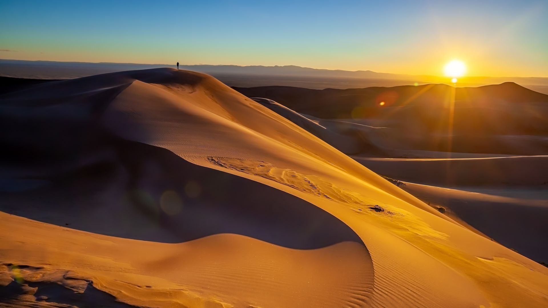 Sunlit sand dunes at sunset, with golden light casting long shadows across the desert.