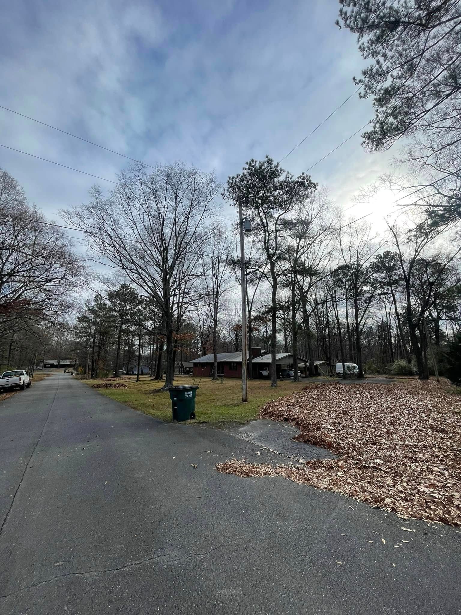 A quiet, tree-lined suburban street with a large pile of fallen leaves on the side under a cloudy, bright sky.