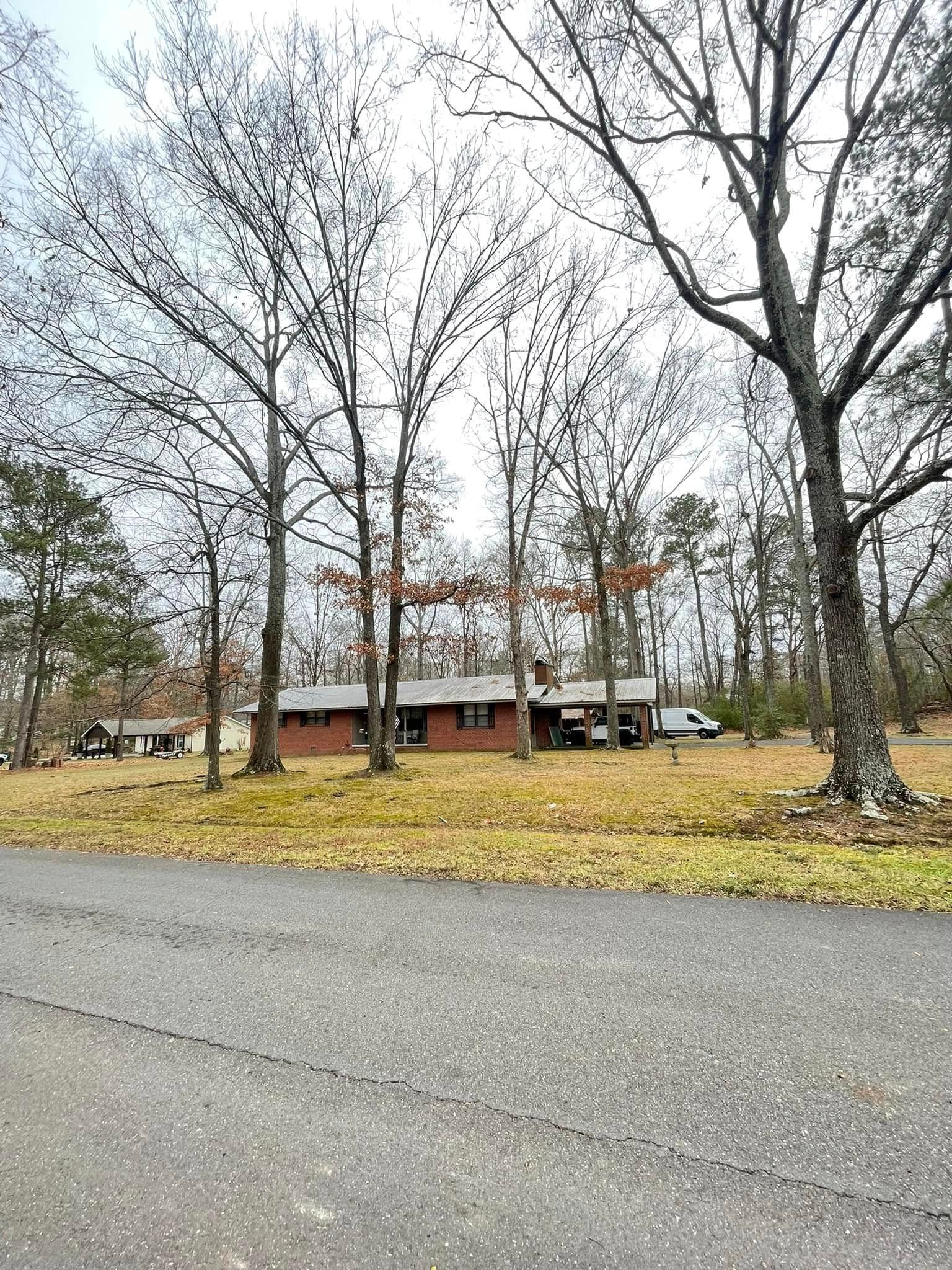 A single-story, red-brick house sits behind large, leafless trees in a grassy yard next to a paved road.
