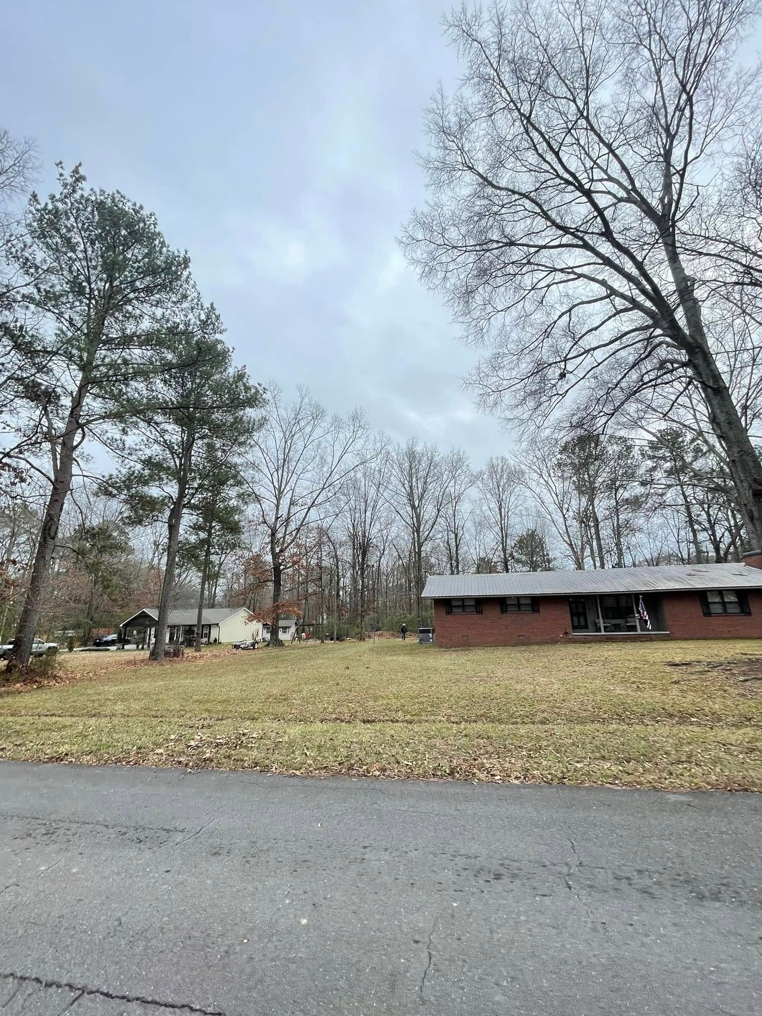 Two one-story brick houses sit on a grassy lot surrounded by tall, bare trees under a cloudy sky near a paved road.