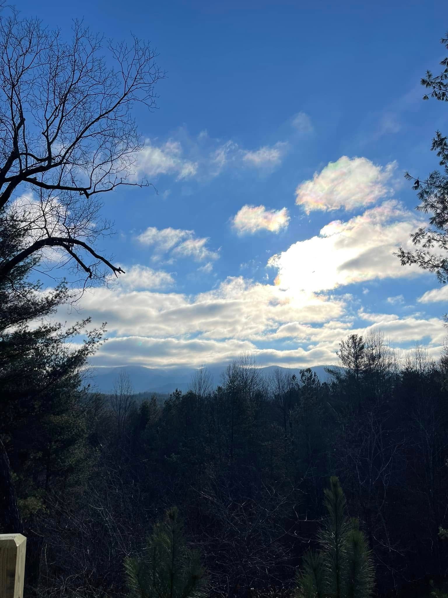 Sunlight glows behind scattered clouds above a dark forest canopy under a bright blue sky.