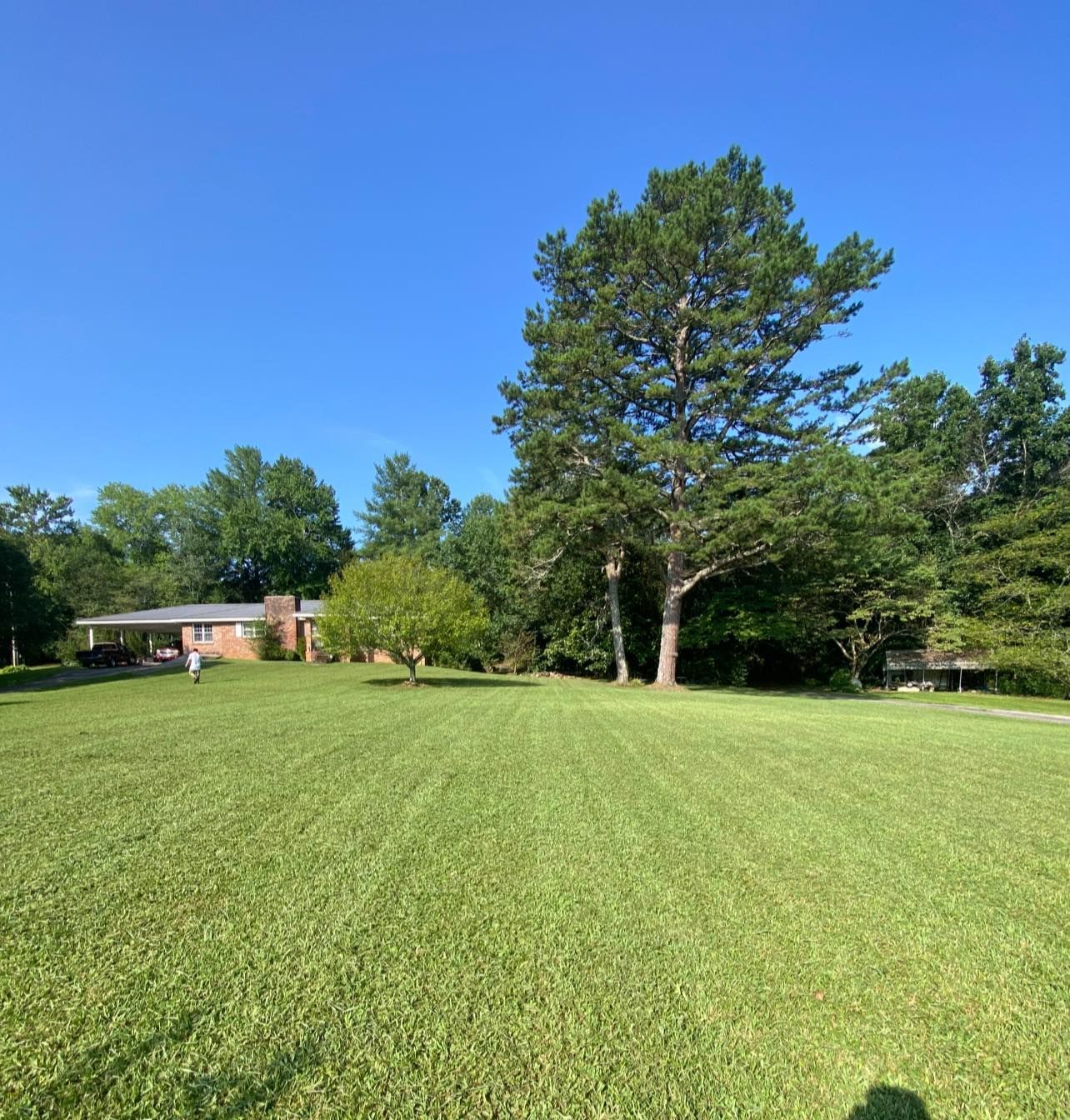 A large, sunny green lawn leads toward a single-story brick house nestled among tall trees under a clear blue sky.