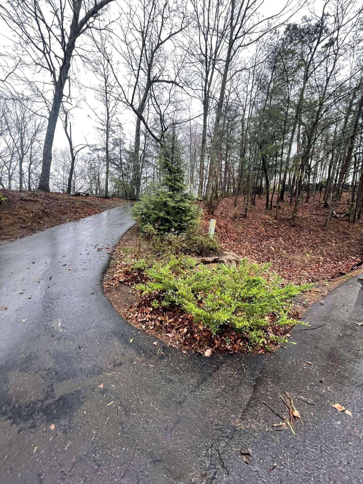A paved driveway curves past a small, evergreen-filled island with shrubs and trees under a cloudy sky.