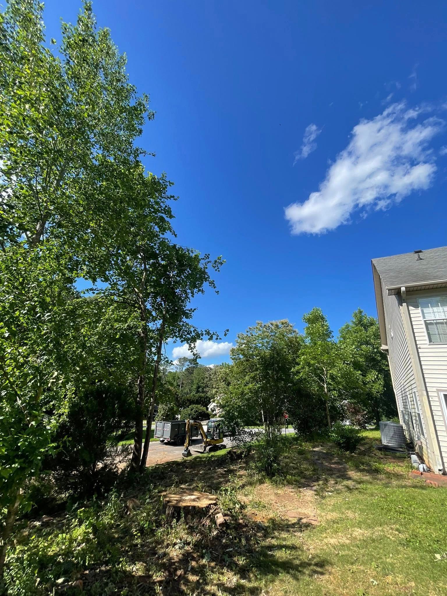 A grassy yard with trees, a house corner, and a bright blue sky with a wispy cloud on a sunny day.