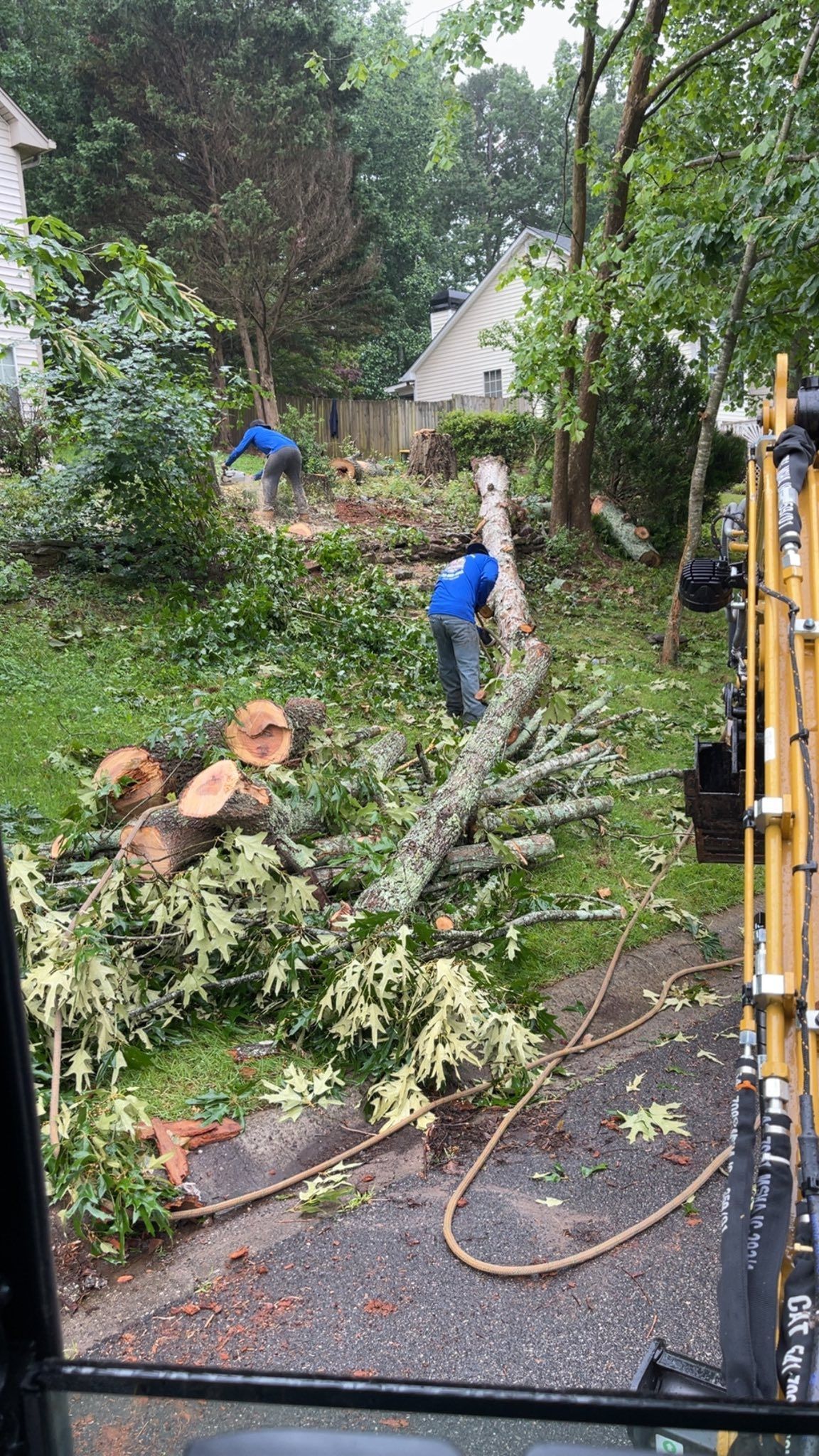 Workers in blue shirts use chainsaws to clear a fallen tree in a residential yard.