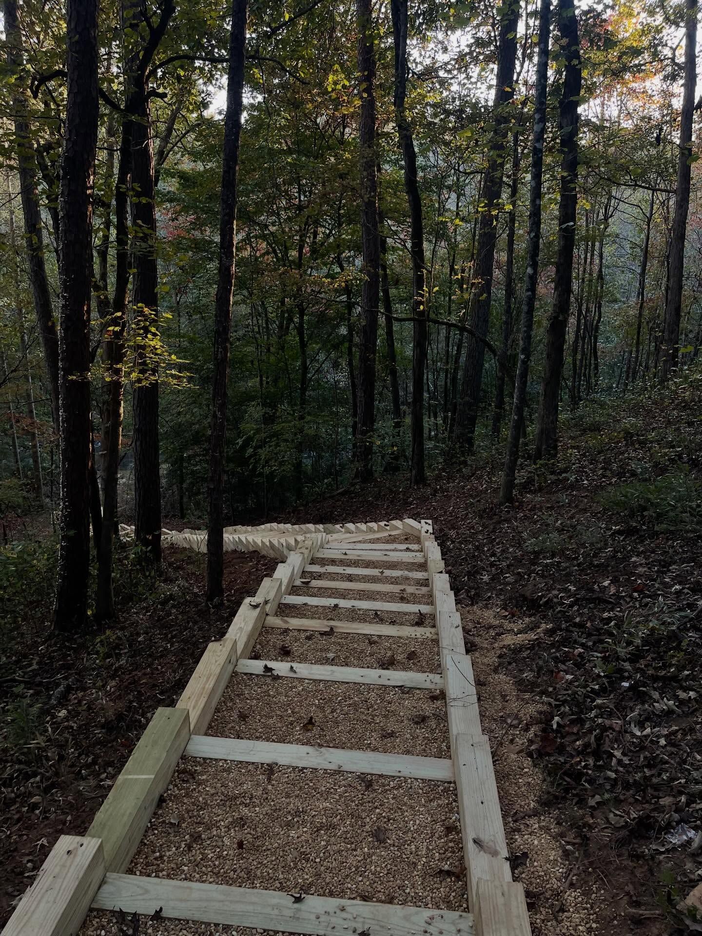 A set of wooden stairs filled with gravel leads down into a dense, tree-filled forest.