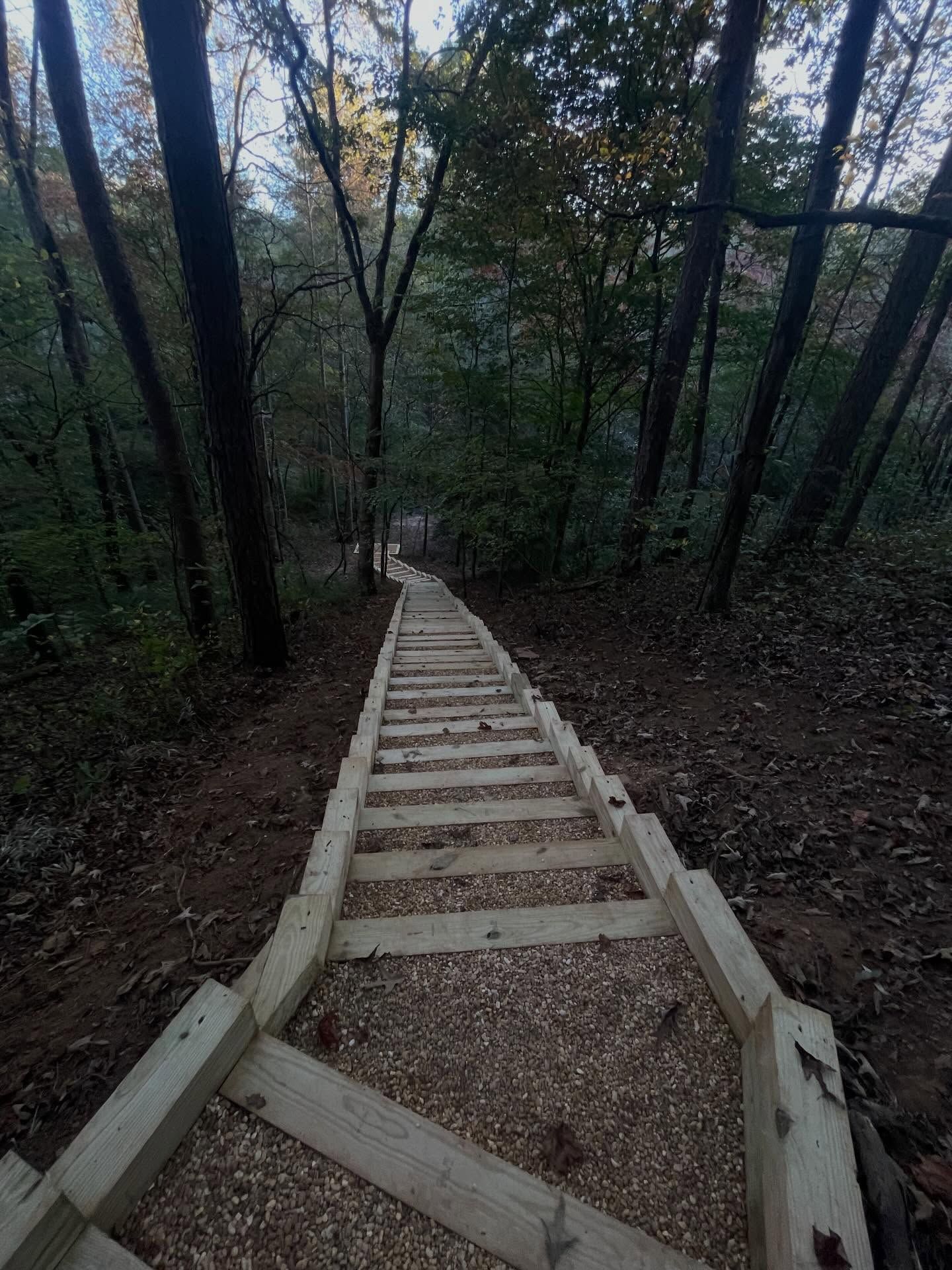 A long, steep wooden staircase descends into a dense, forested trail filled with fallen leaves.
