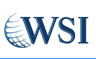 WSI logo with blue globe graphic and blue letters on a white background