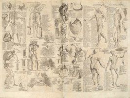 Osteopathic principles