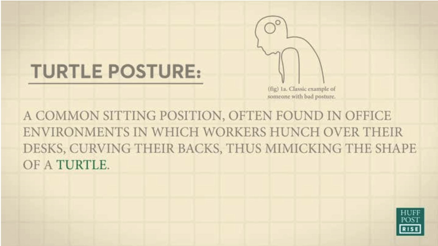Shy Turtle posture