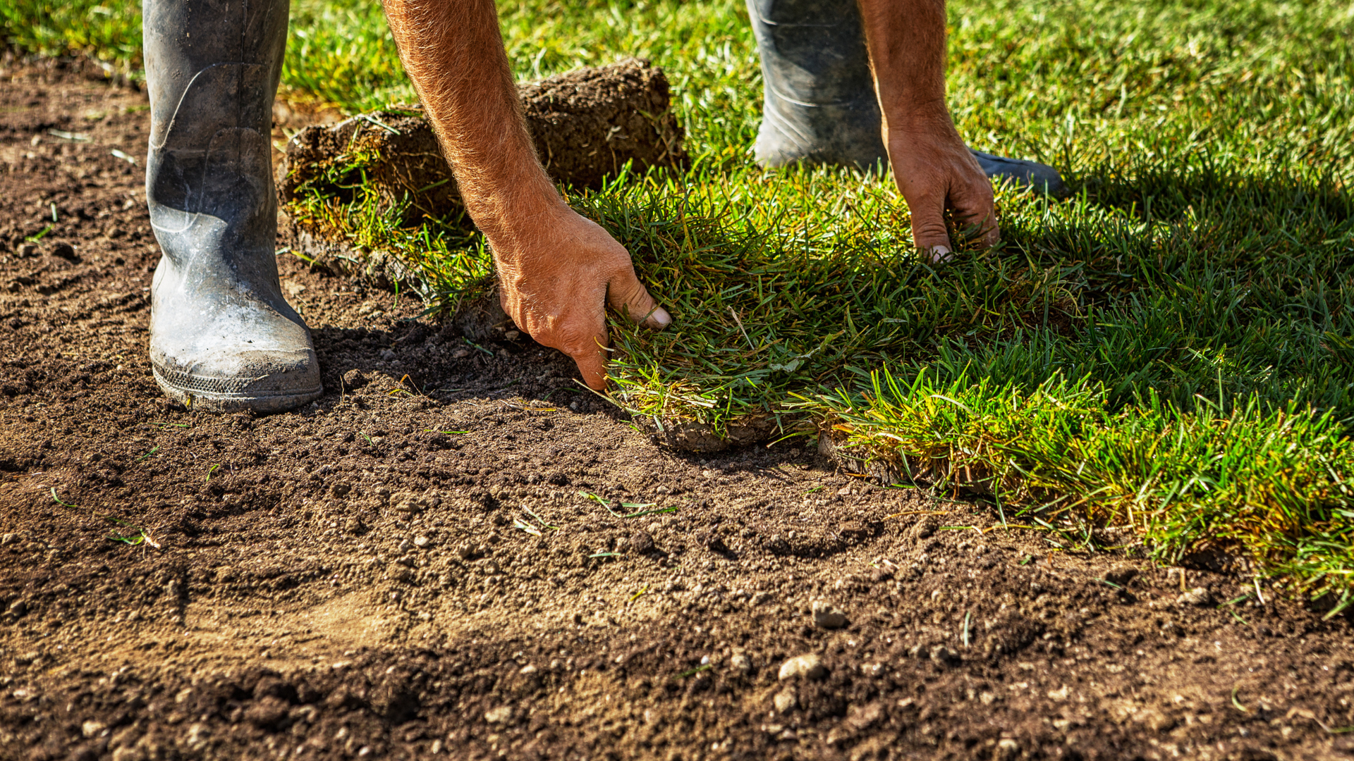 Person laying sod on prepared soil outdoors. Green grass and brown earth.