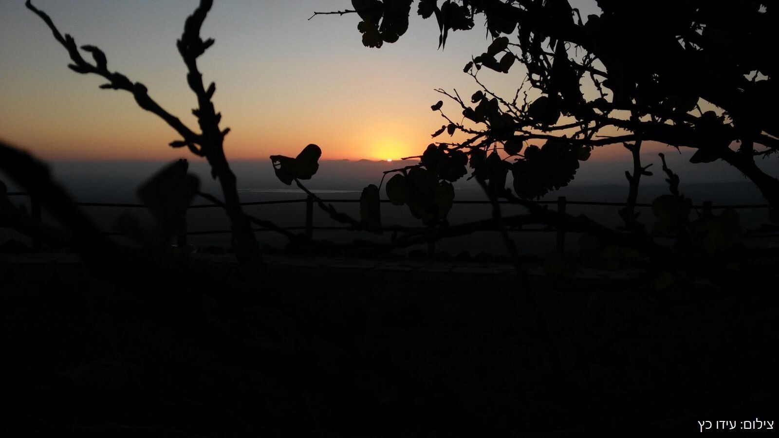 Sunset over a distant horizon, viewed through silhouetted tree branches.