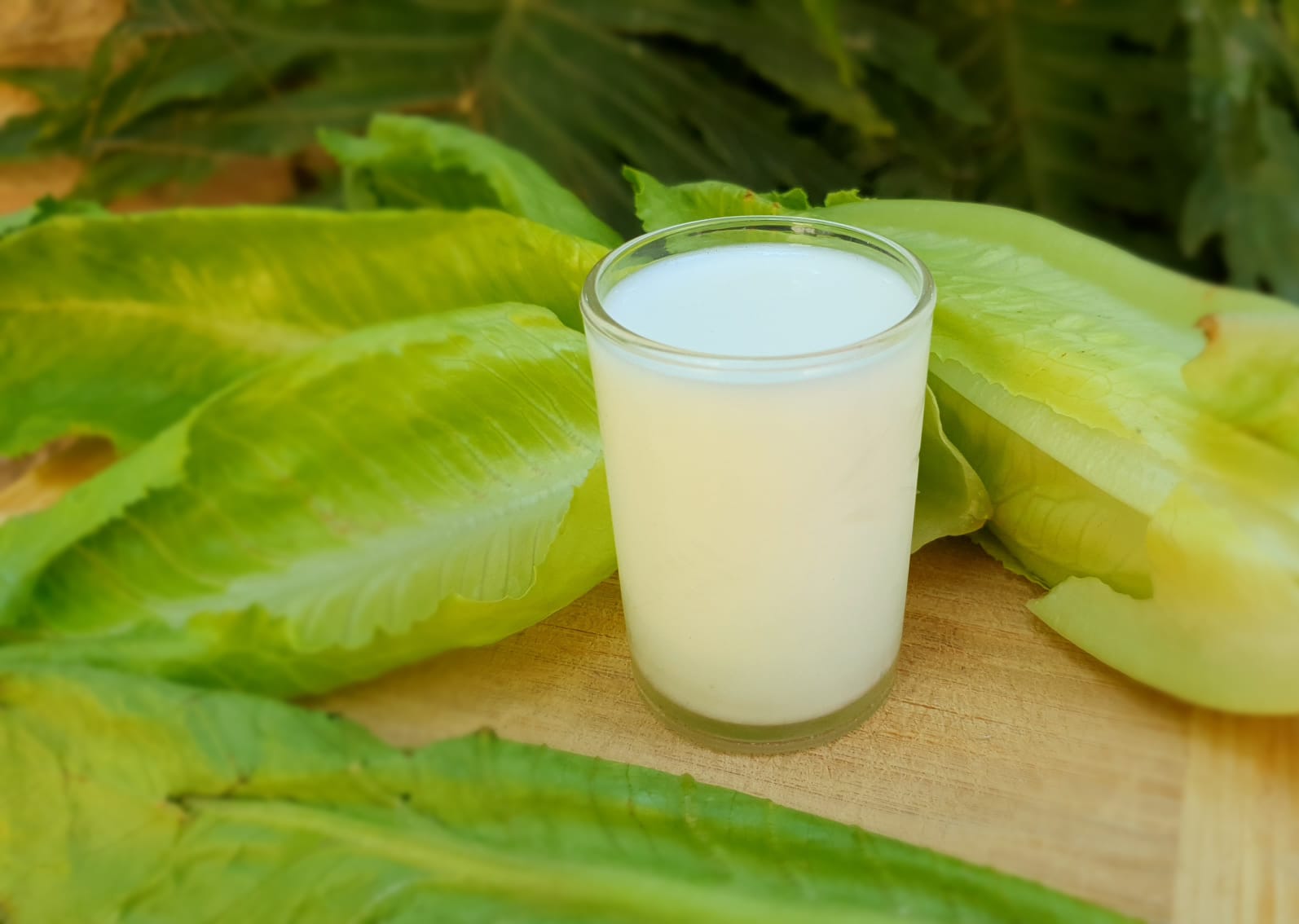 Glass of milky liquid next to fresh green romaine lettuce leaves.