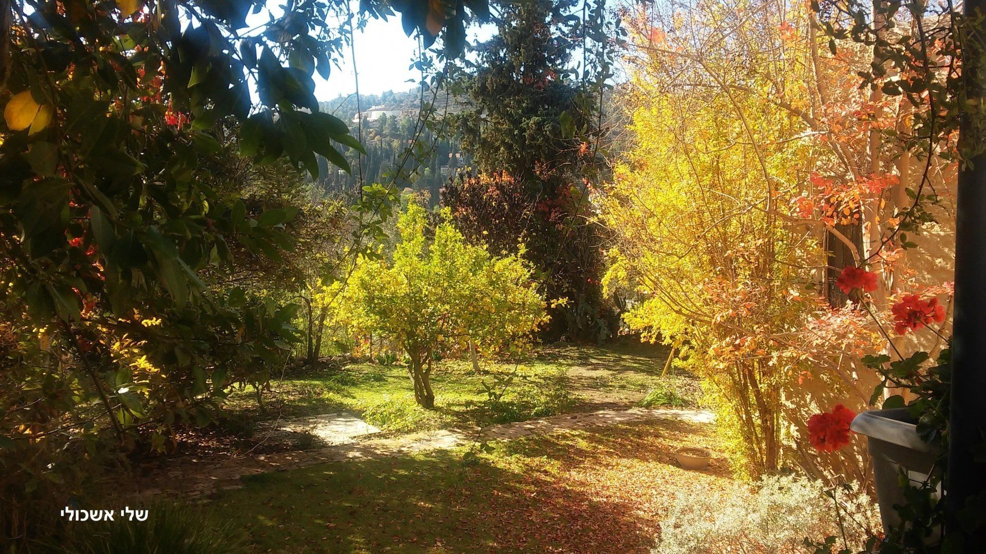 Lush garden with trees displaying various autumn colors: yellow, orange, and red. Sunlight filters through the leaves.