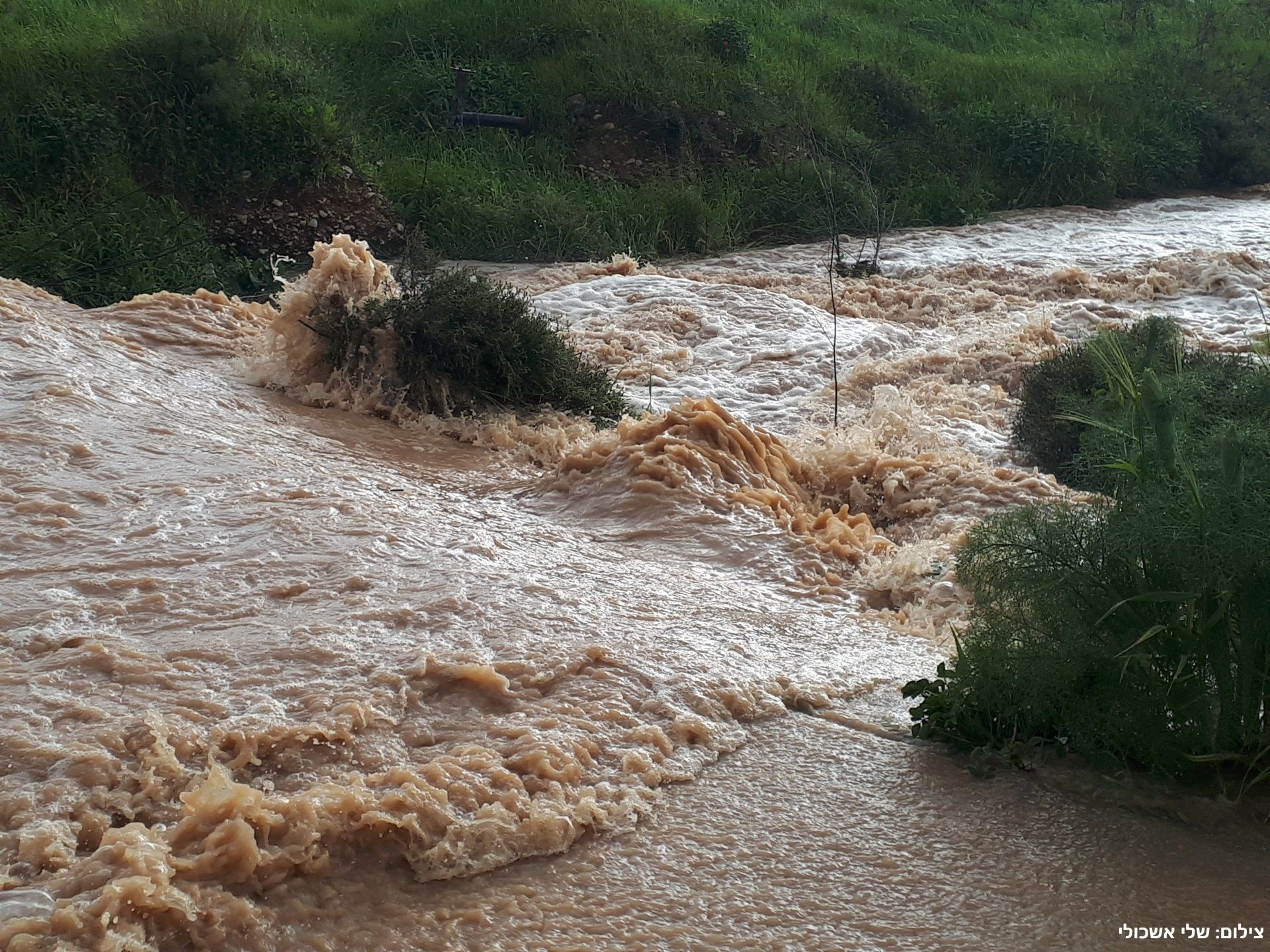 Raging brown water in a river with green vegetation along the banks.